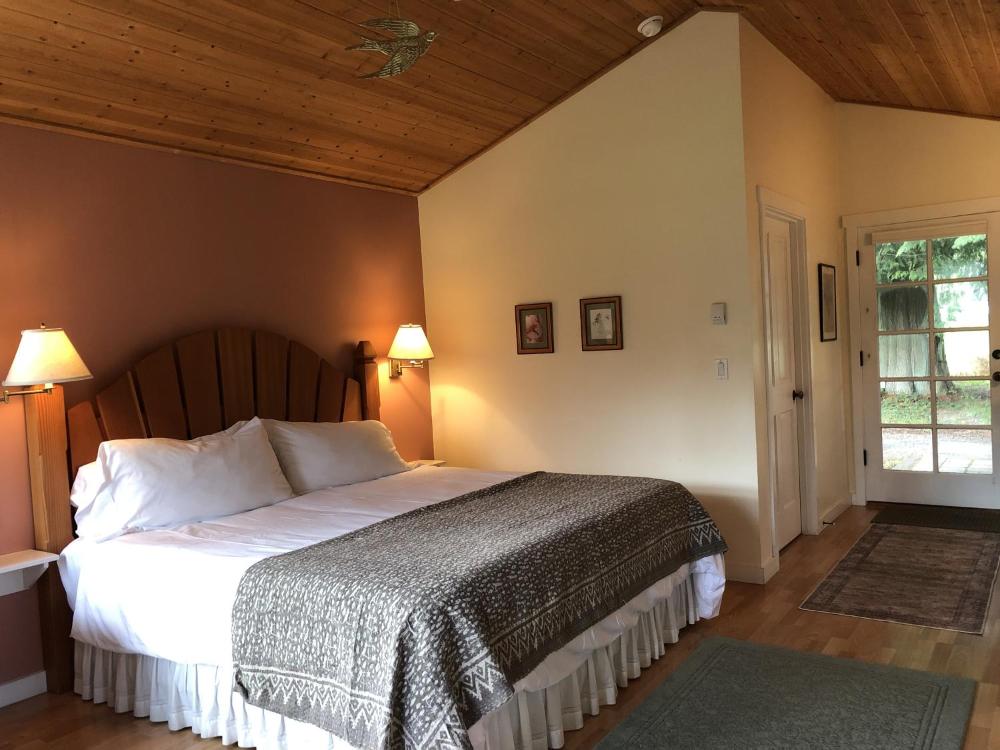 Deluxe King Suite interior